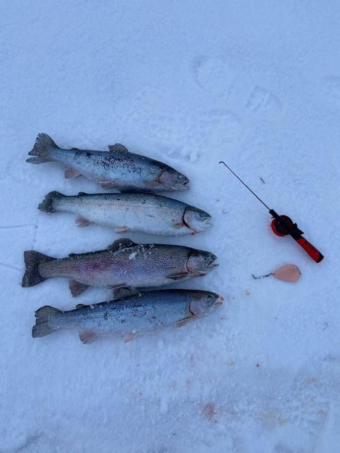 Stuga 5 Varmland Torsby Eksteriør billede